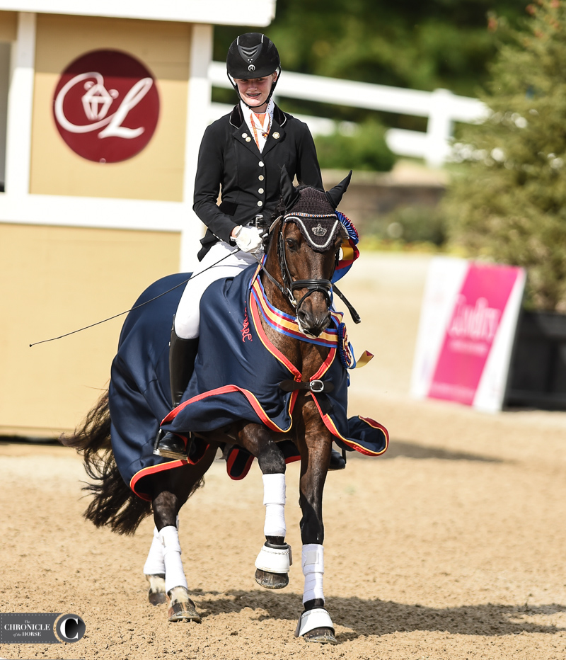 Read more about the article Tullymor’s Houdini Gives Geven A Final Championship At U.S. Dressage Festival Of Champions