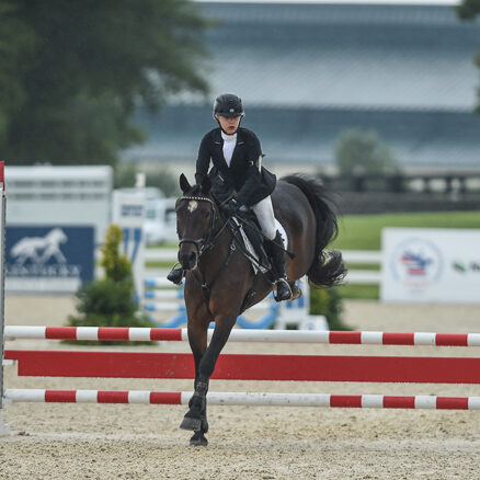 Read more about the article Connemara at American Eventing Championships