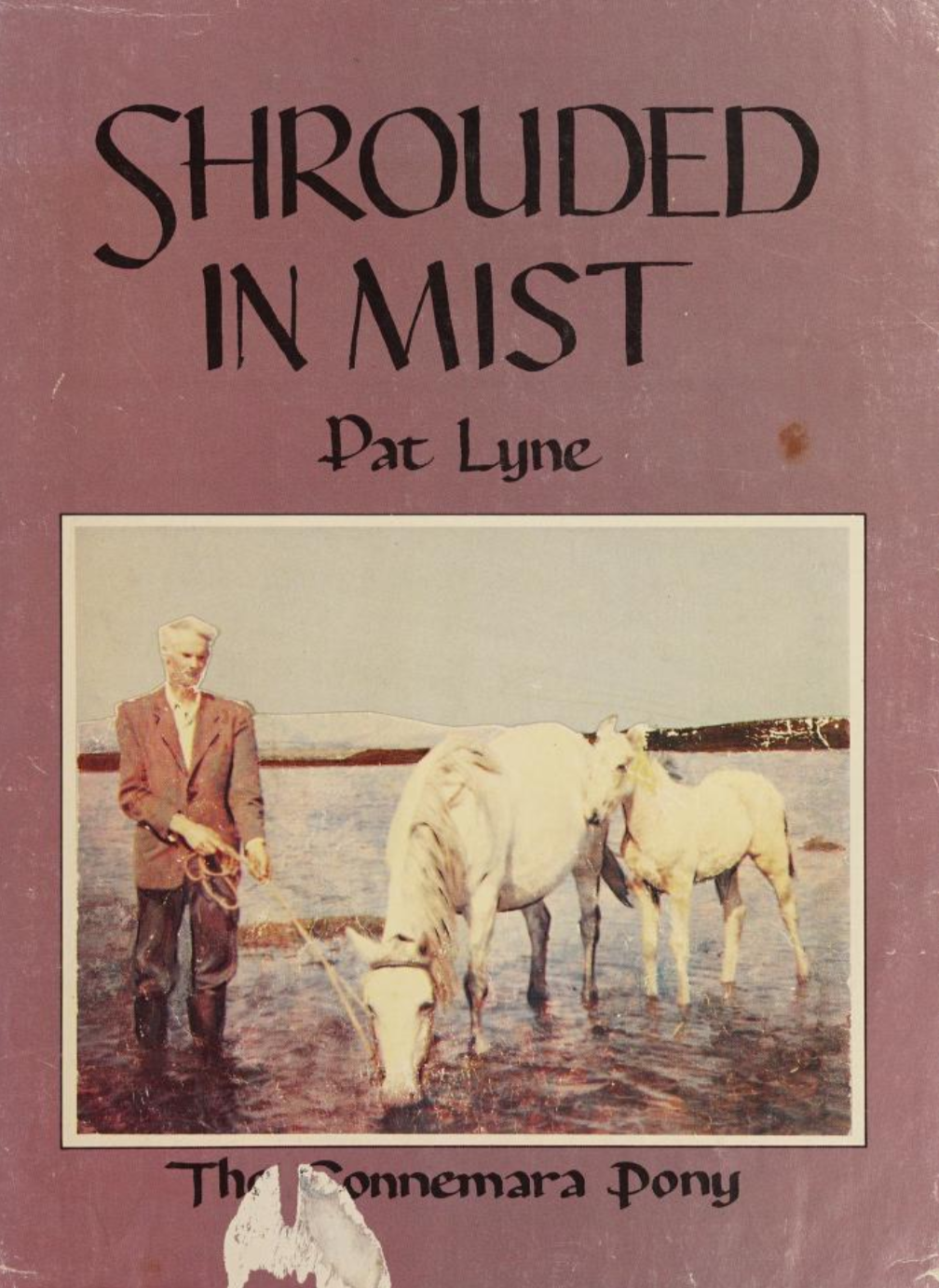ACPS digital library book Shrouded in Mist by Pat Lyne