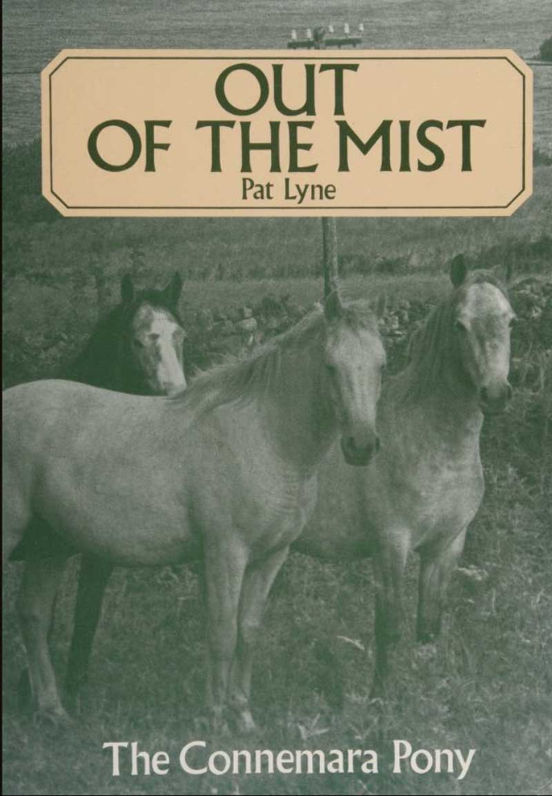 Read more about the article Out of the mist by Pat Lyne *NEW