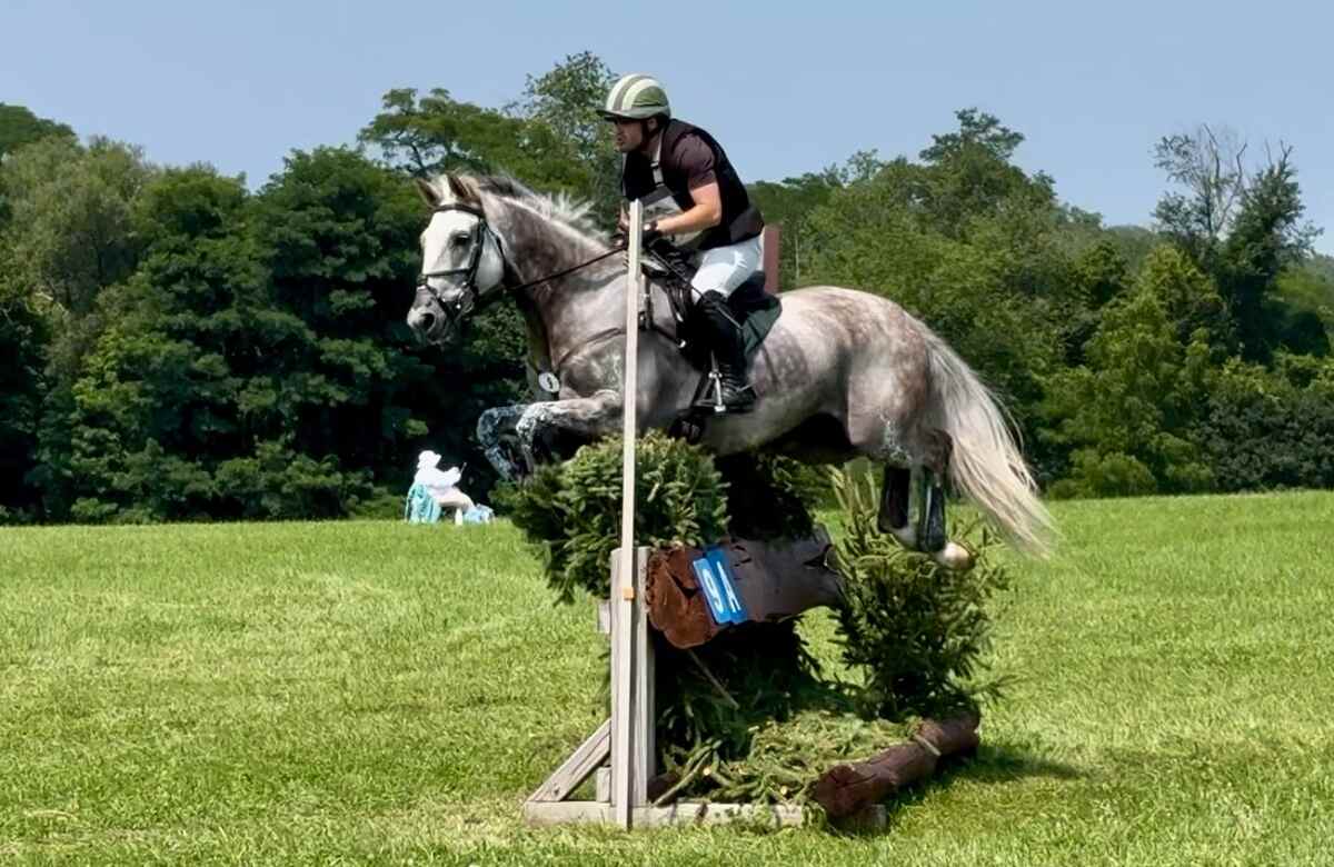 Horse jumping cross country fence