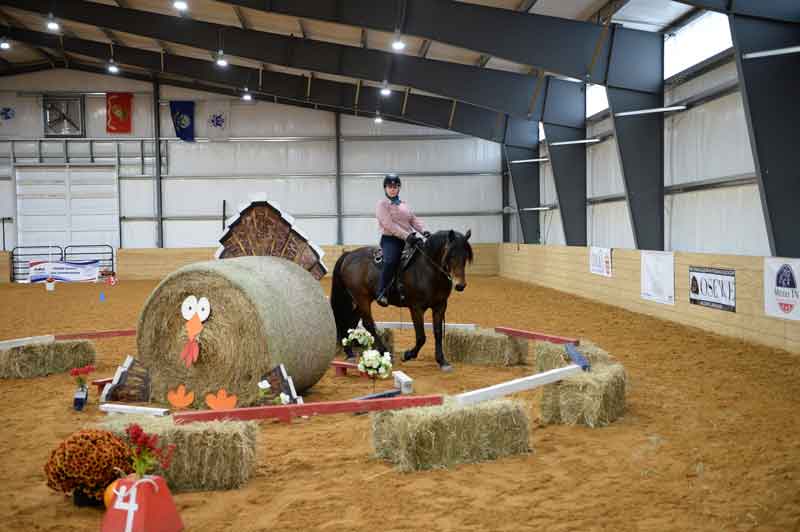 Aluinn Wyatt working equitation