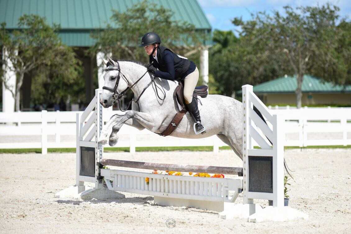 Pony jumping vertical in ring