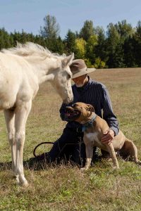 Skyview's Draco leaning towards a man and dog.
