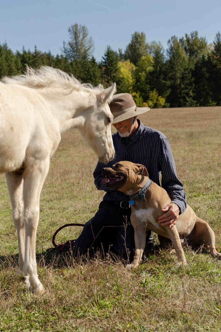Skyview's Draco leaning towards a man and dog.