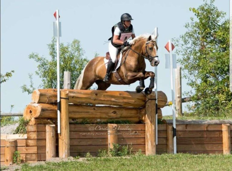 Cross Country horse and rider jumping logs with drop
