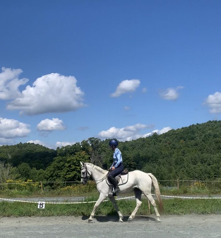 grey horse with rider in ring blue sky background