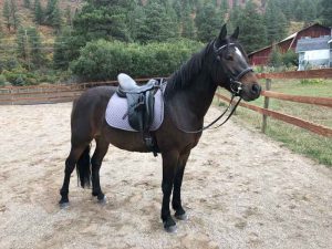 TNF Storm’s Firefly
