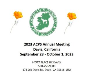 annual meeting image
