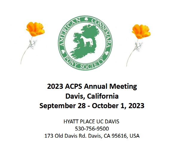 annual meeting image