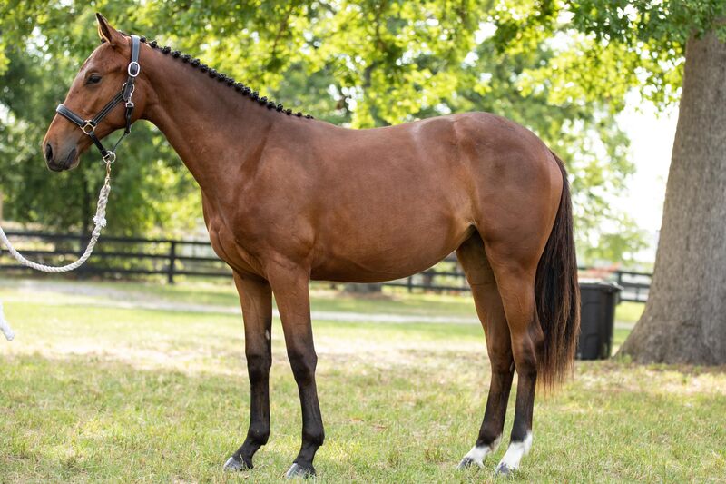 Fantasias Emerald standing