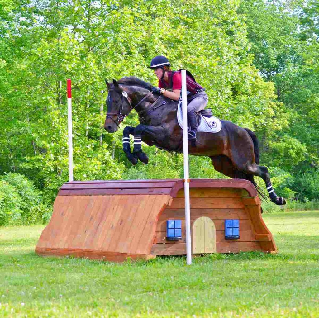 Horse and rider jumping cross country fence