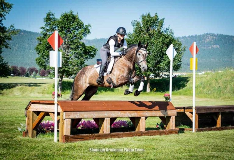 event horse jumping table on cross country