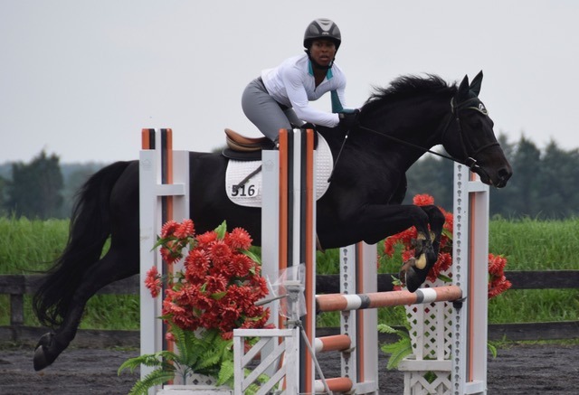 horse jumping stadium fence