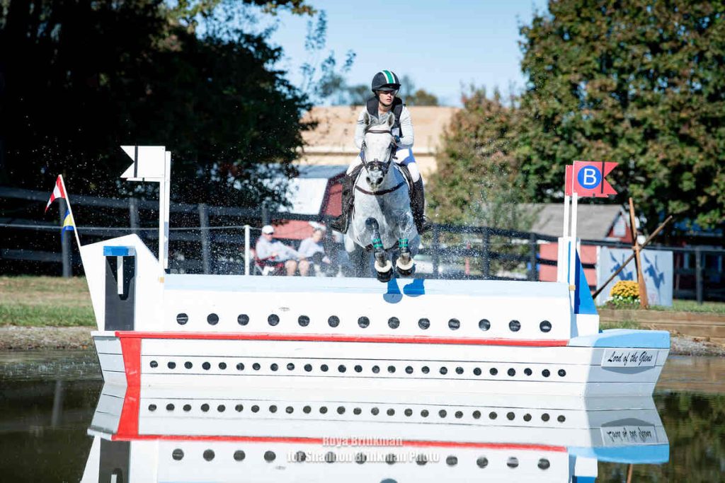 horse jumping white fence