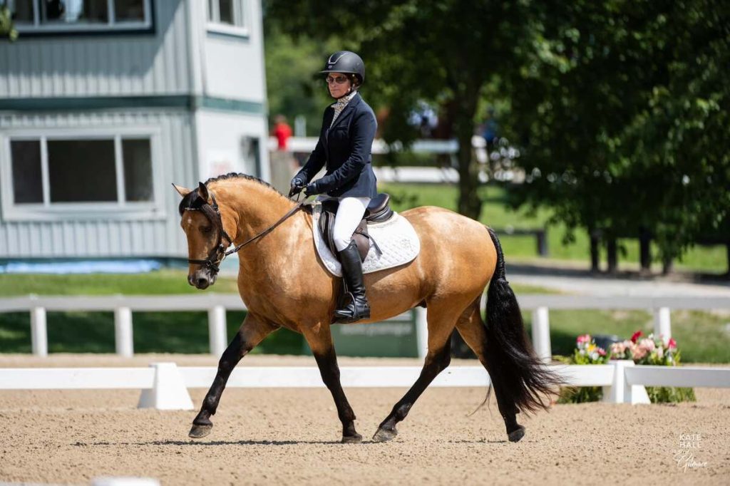 horse and rider trotting in dressage test