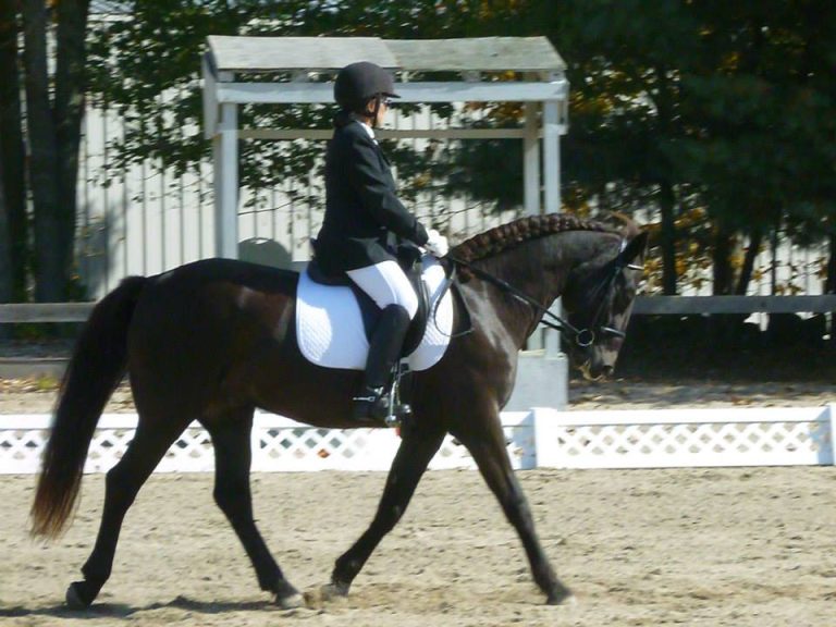 Horse and rider trotting in dressage test