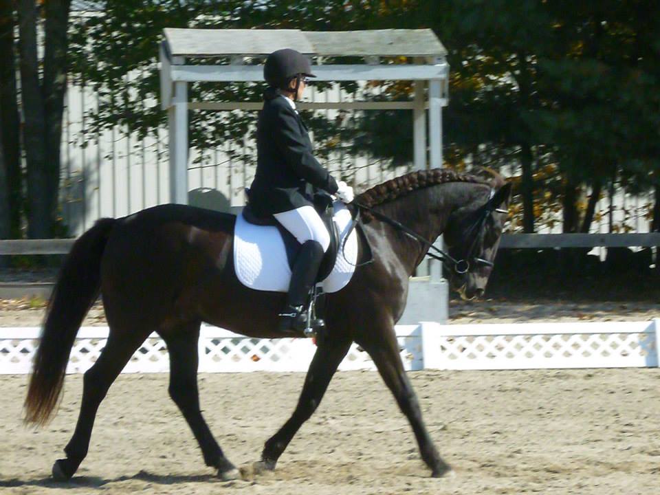Horse and rider trotting in dressage test