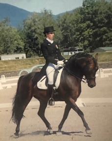 dressage horse and rider in arena