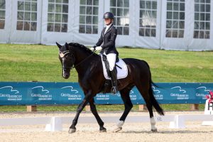 horse trotting in dressage ring