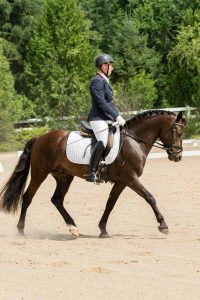 Dressage horse and rider trotting