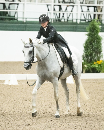Dressage rider patting horse