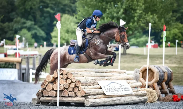 Event horse jumping cross country fence