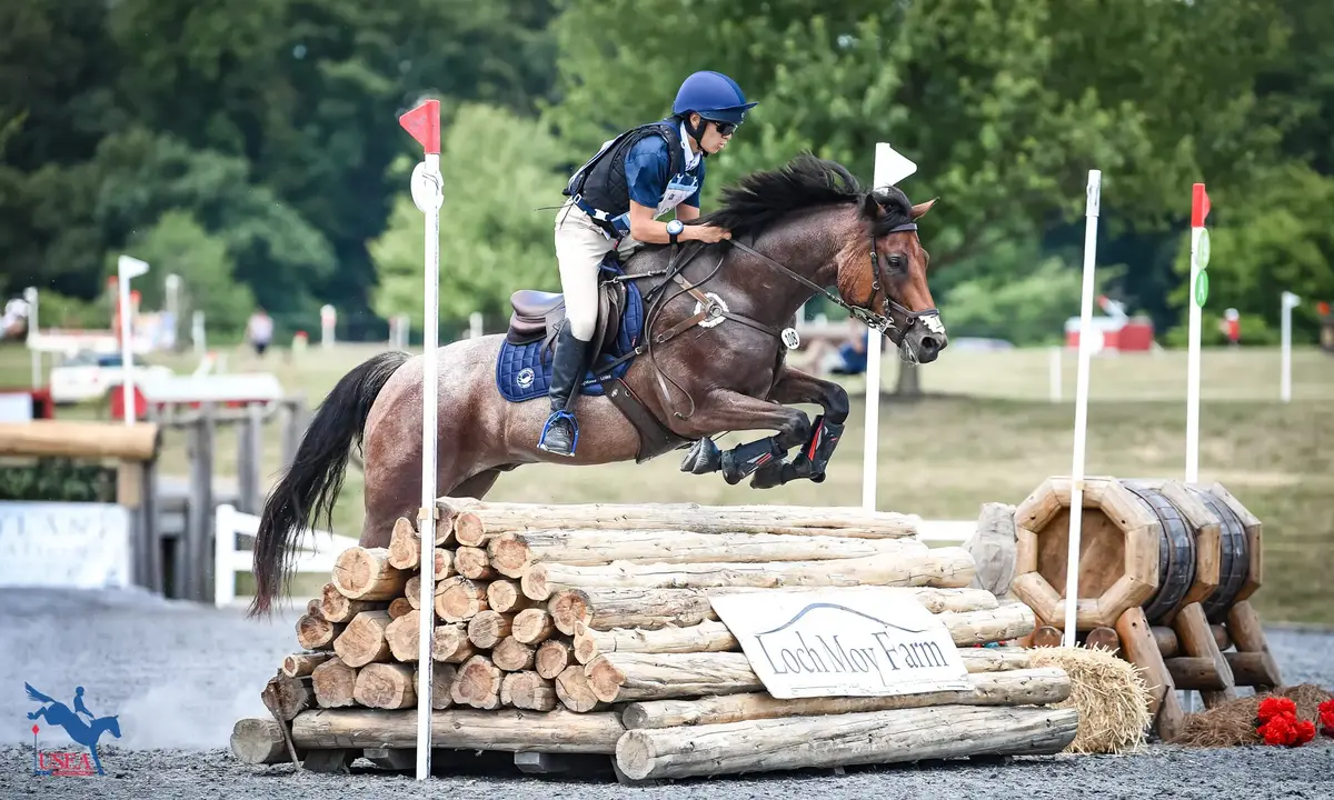 Event horse jumping cross country fence