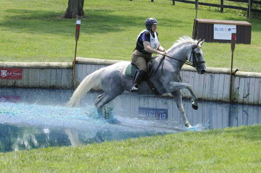 Cross country horse and rider galloping through water