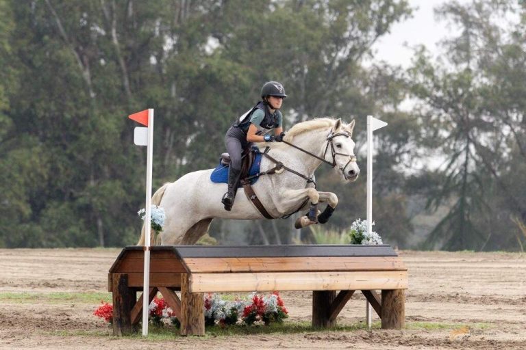 Horse and rider jumping cross country fence