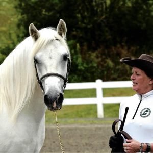 Woman standing next to pony