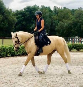 Horse and rider trotting