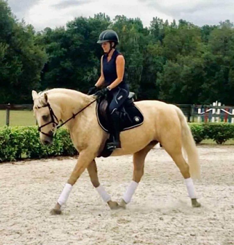 Horse and rider trotting