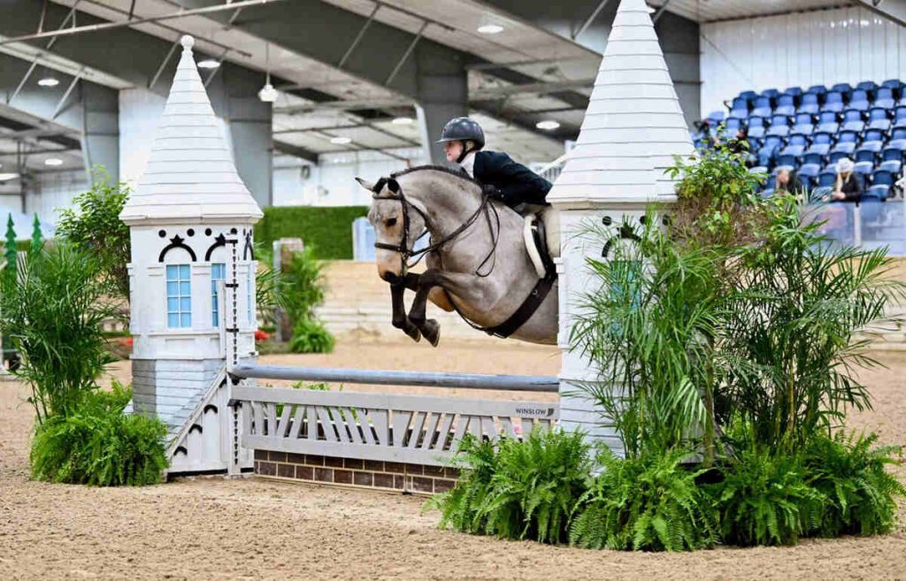 Horse jumping fence in arena