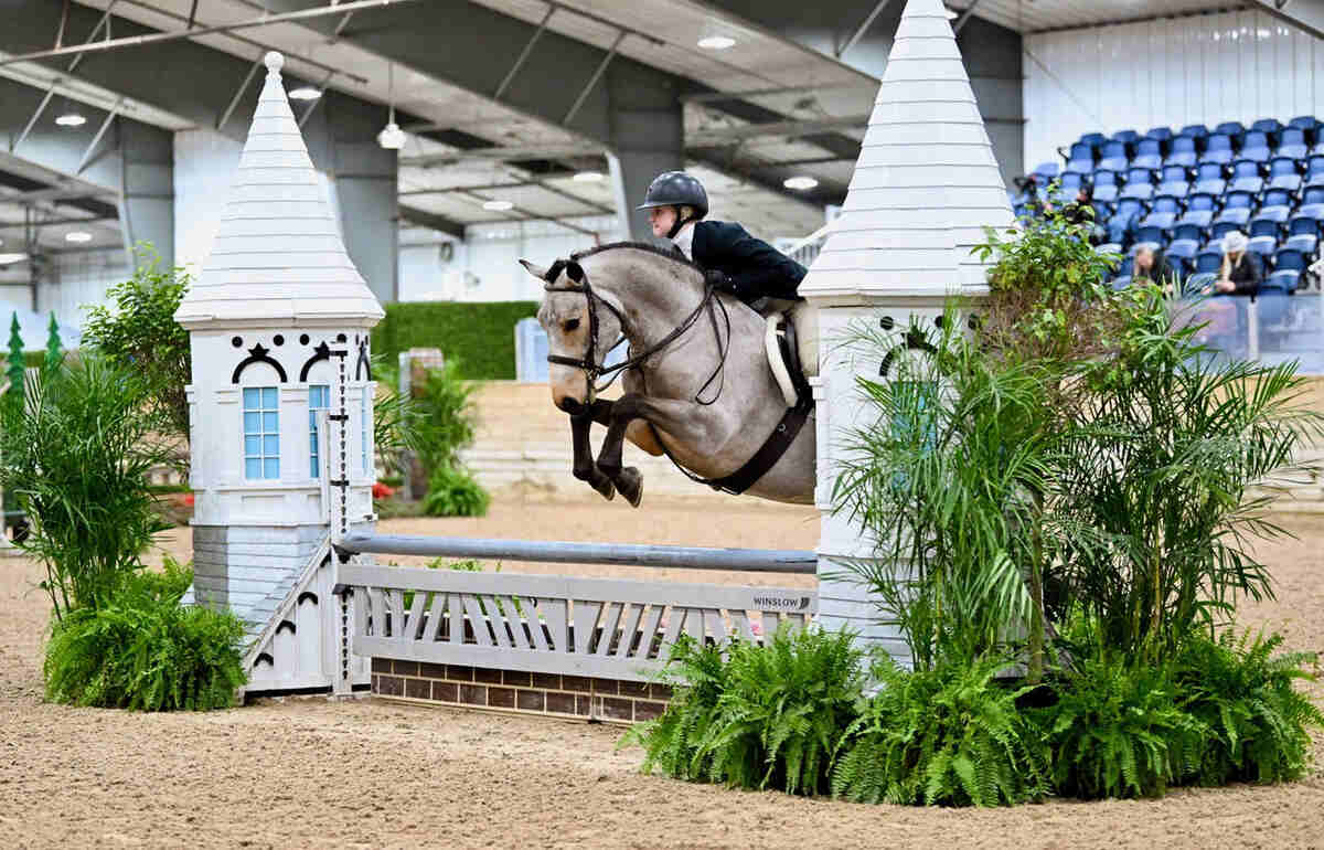 Horse jumping fence in arena