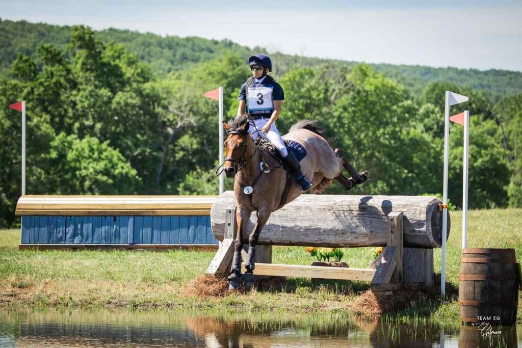 Horse jumping cross country log into water