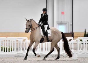 Dressage horse and rider