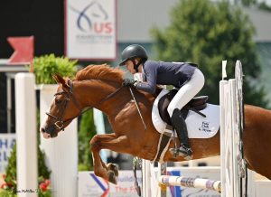Horse jumping vertical