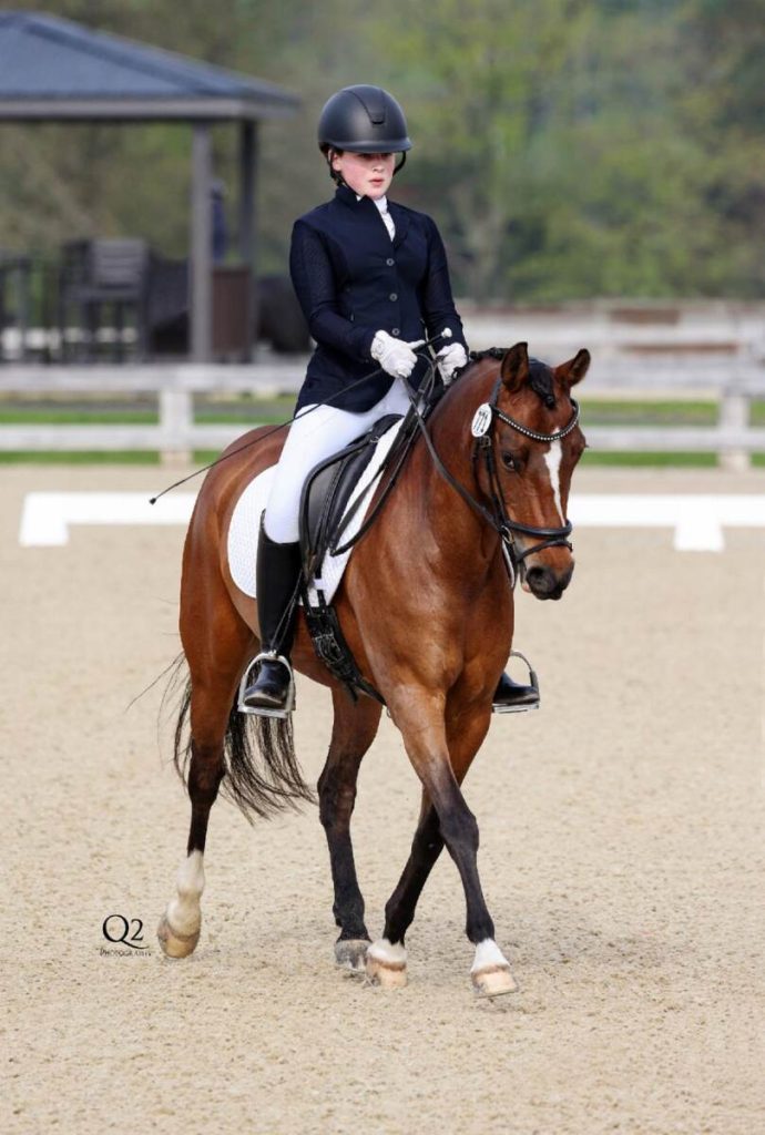 Dressage Rider on bay pony.