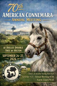 Flyer for 2026 Annual Meeting