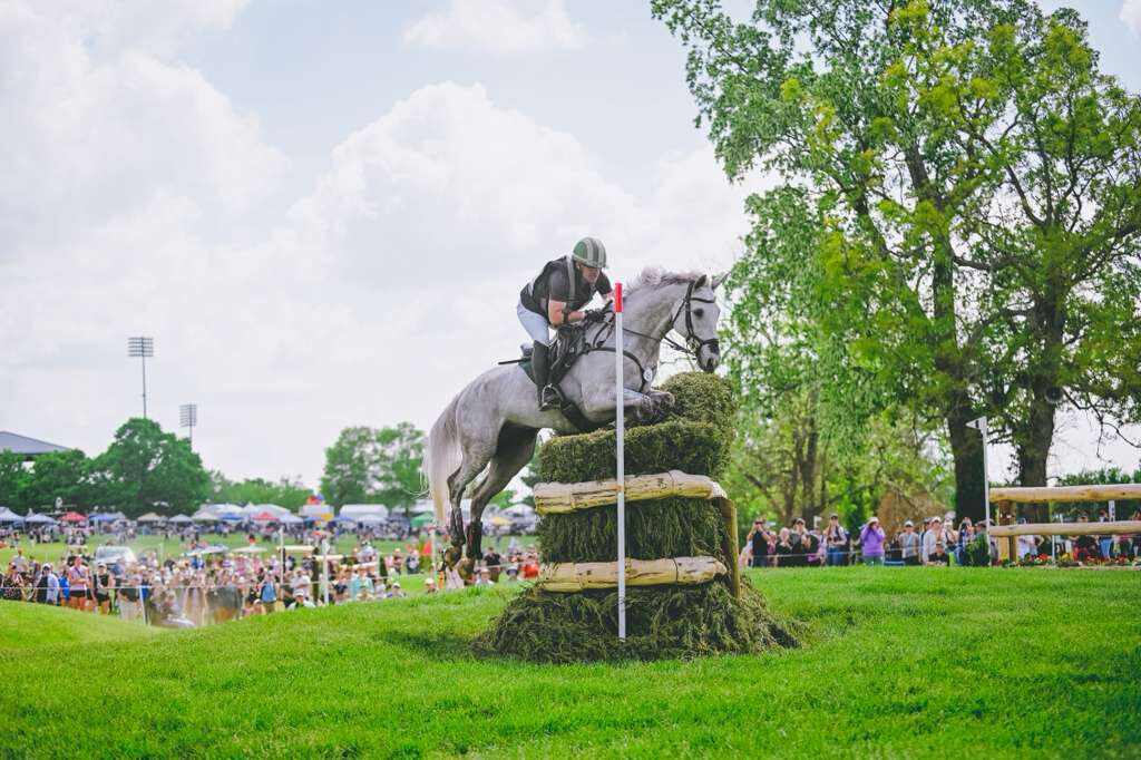 Grey horse jumping skinny brush jump on cross country.
