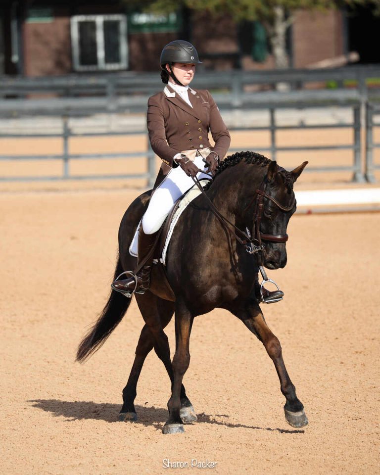 Dressage horse and rider in ring