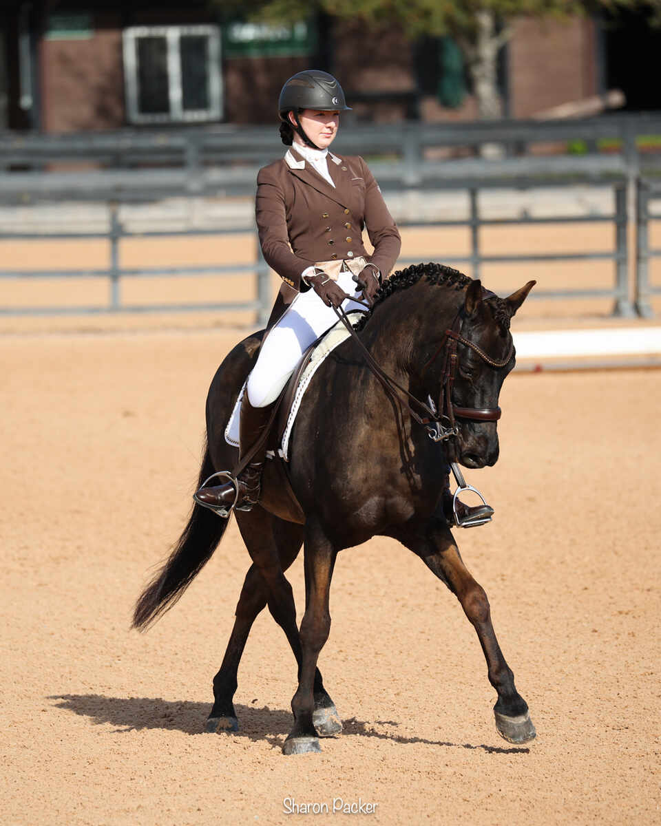 Dressage horse and rider in ring