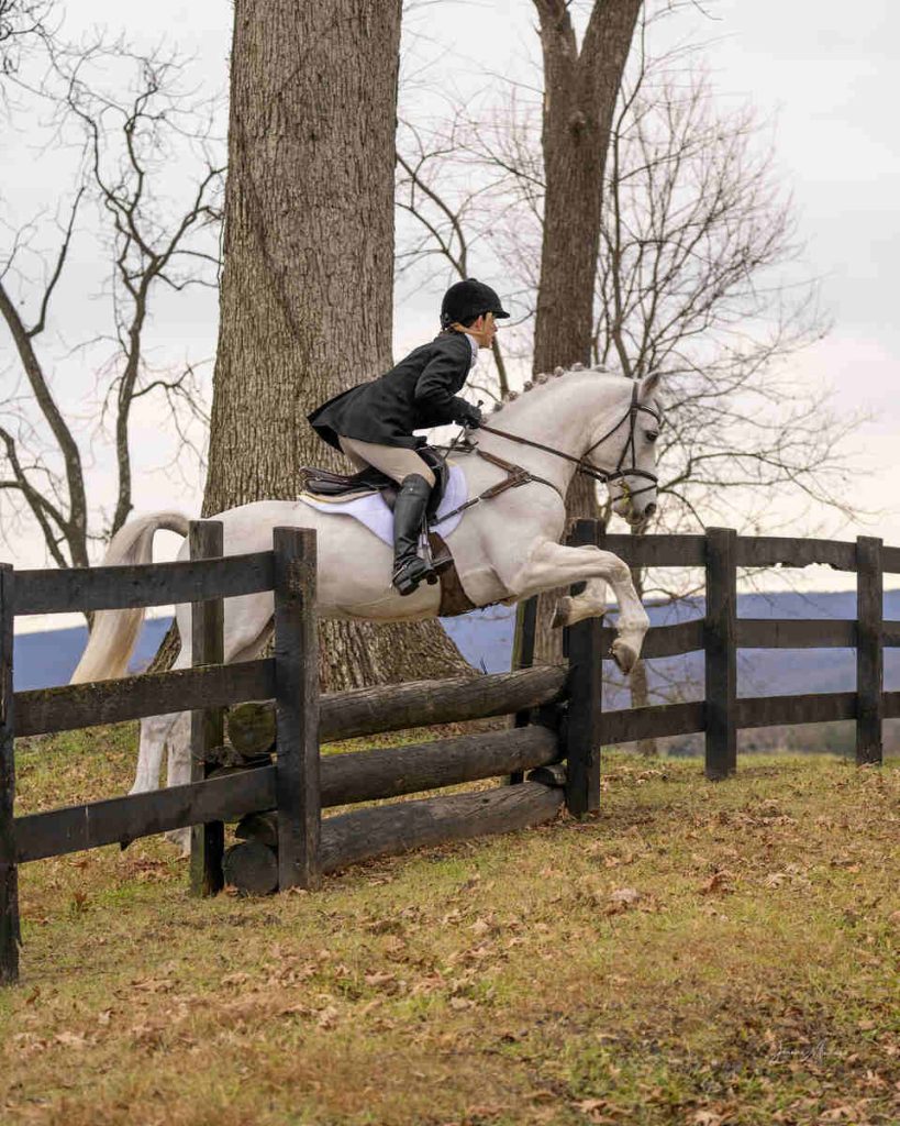 Braided horse jumping stacked logs in fenceline