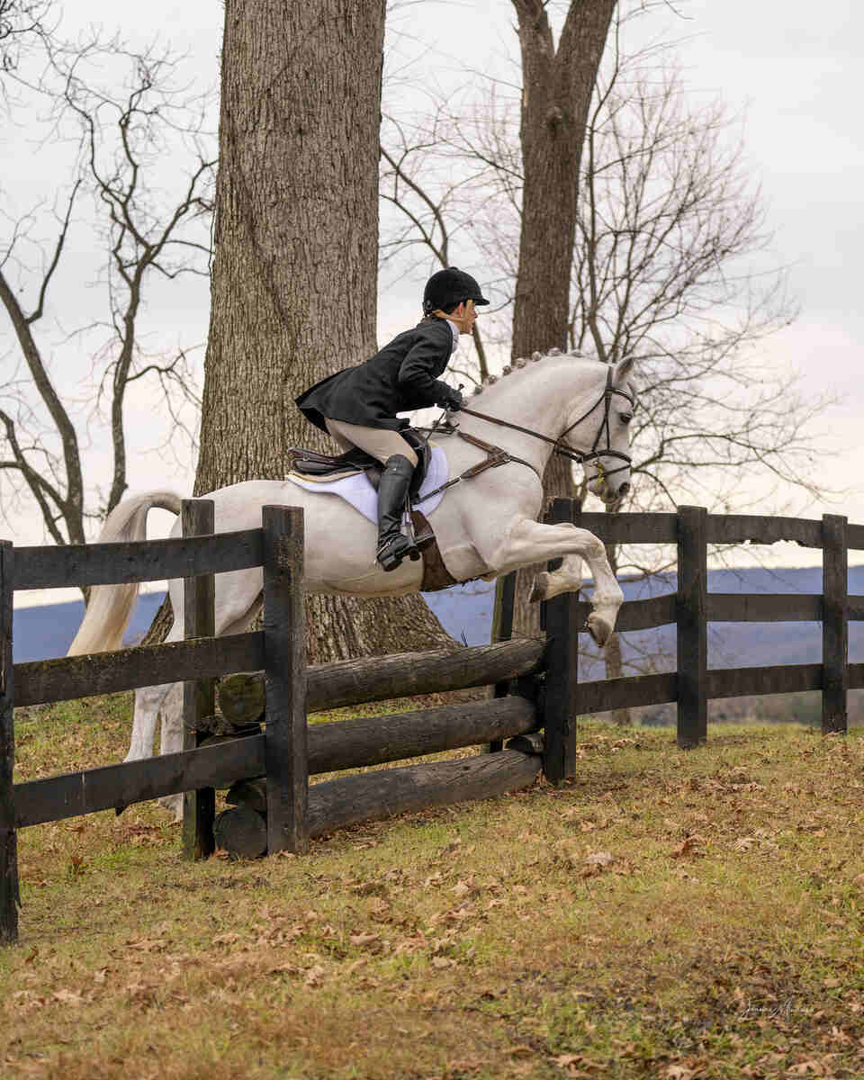 Braided horse jumping stacked logs in fenceline