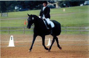 Dressage horse and rider trotting in ring.